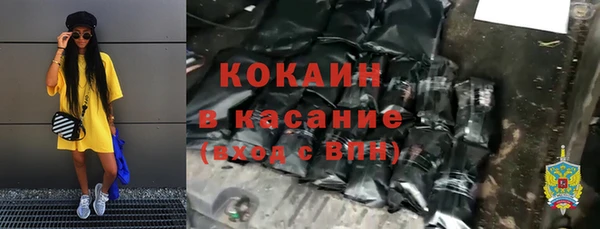 индика Нязепетровск
