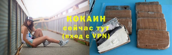 индика Нязепетровск