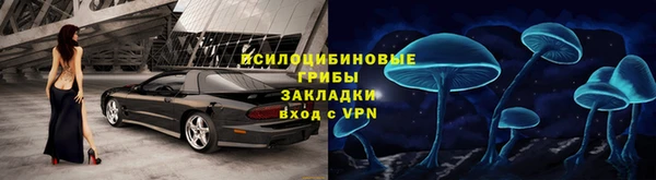 индика Нязепетровск