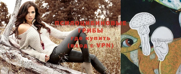 индика Нязепетровск