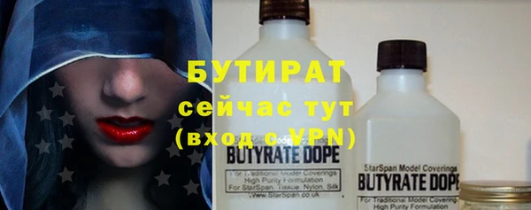 индика Нязепетровск