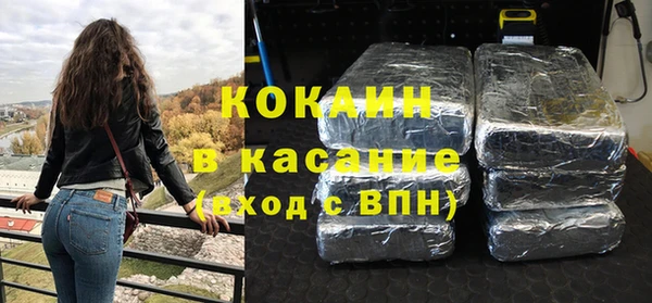 индика Нязепетровск