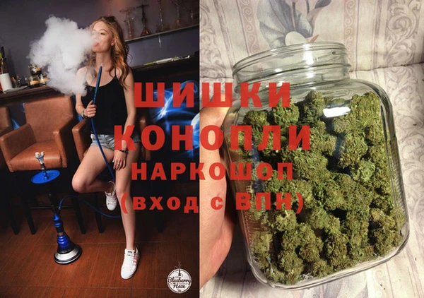 индика Нязепетровск
